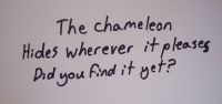 The Chameleon